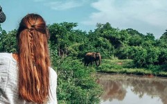 تجربه فیل سواری در پارک ملی سریلانکا با رهاراز سفر