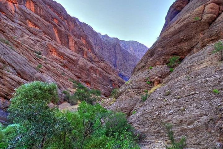 بابک خداخواه