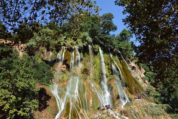 ایوب فارابی