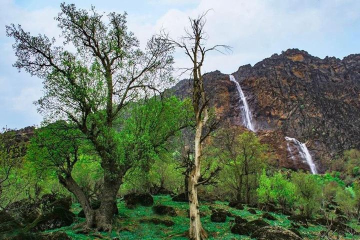 حمید بازگیر
