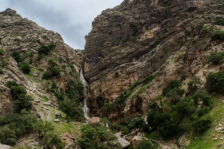 علی دهقان