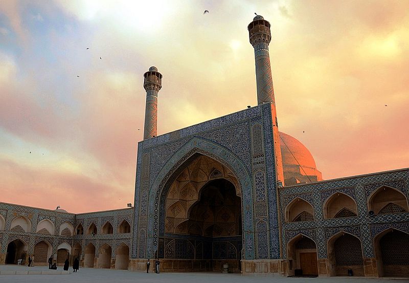 ویکی مدیا