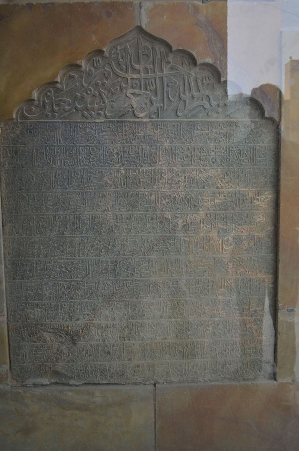 ویکی مدیا