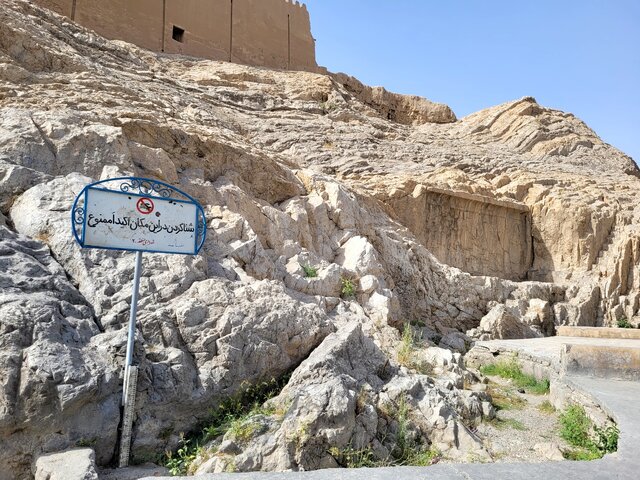 سمیه حسنلو
