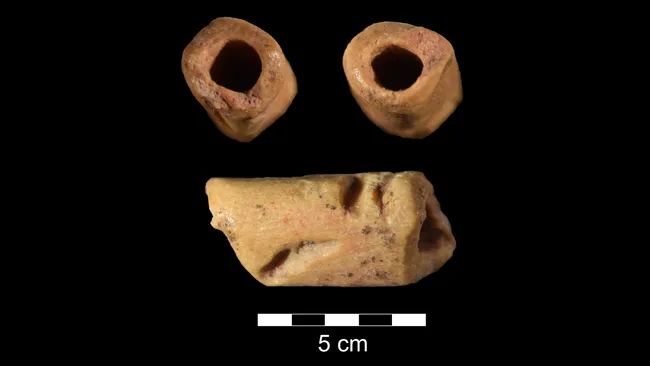 13000 year old bone bead is the oldest of its kind in the americas