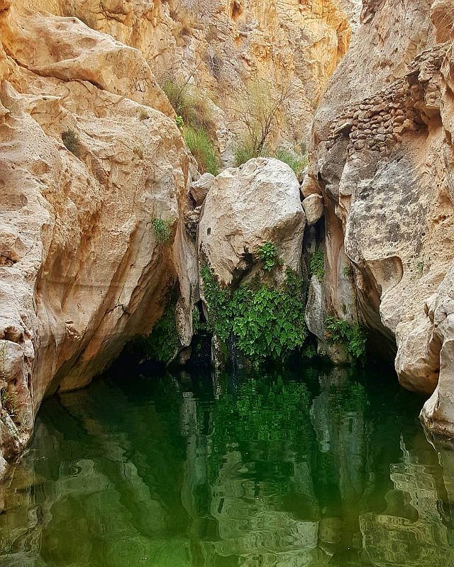 جاهای دیدنی بندر دیر | تنگه مخدان