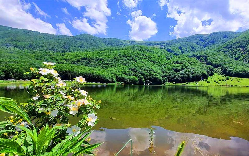 راهنمای ایرانگردی؛ معرفی مقاصدی مناسب برای ایرانگردی