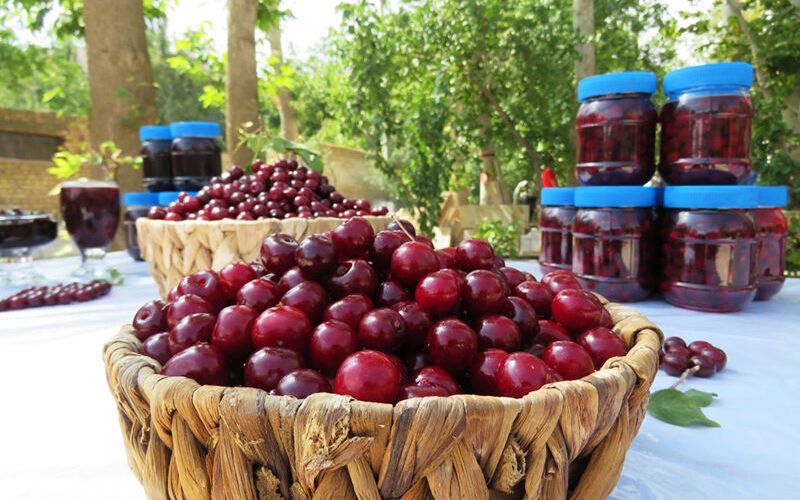 جشنواره گیلاس اشنویه برگزار می شود