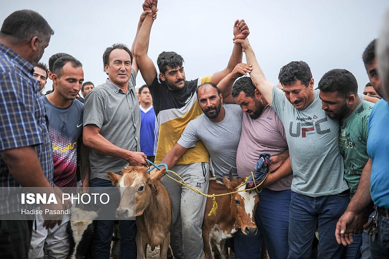 جشنواره کشتی گورش در سیمین شهر برگزار شد