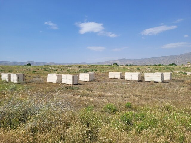 زمین‌های کشاورزی در محوطه شهر گور